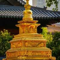 🏯🙏 大雄寶殿～神聖氛圍✨🌸🕊️