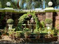 The Consul's Garden