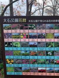大石公園是當地最著名的花田🌸