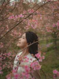 หมู่บ้านสีชมพู