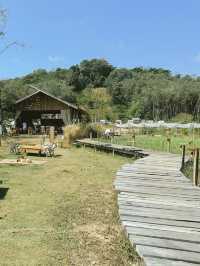 โอบบ์ Farm & Cafe คาเฟ่ที่โอบกอดไปด้วยธรรมชาติ
