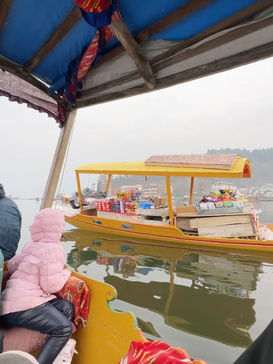 [ Floating Market @ Dal Lake 🌸 ]