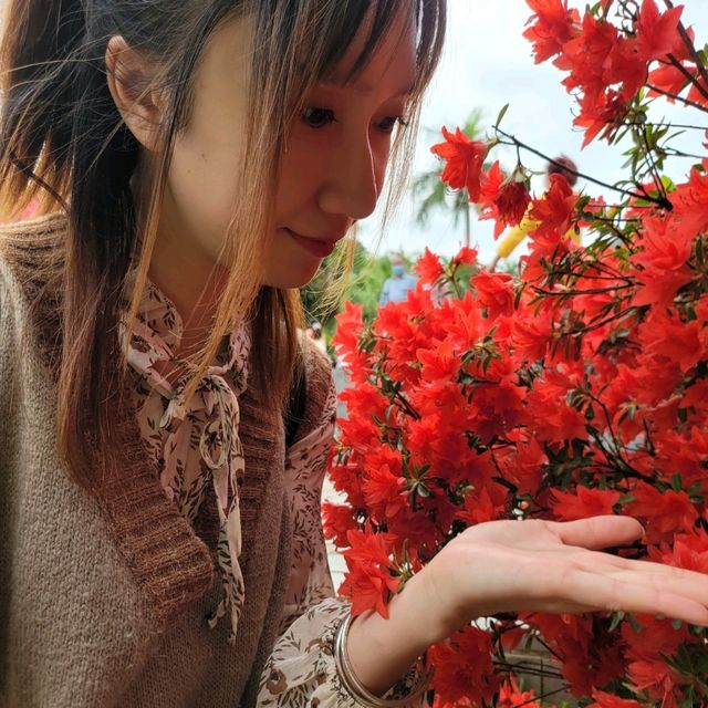 深圳網紅最新打卡點 我要做花花少女