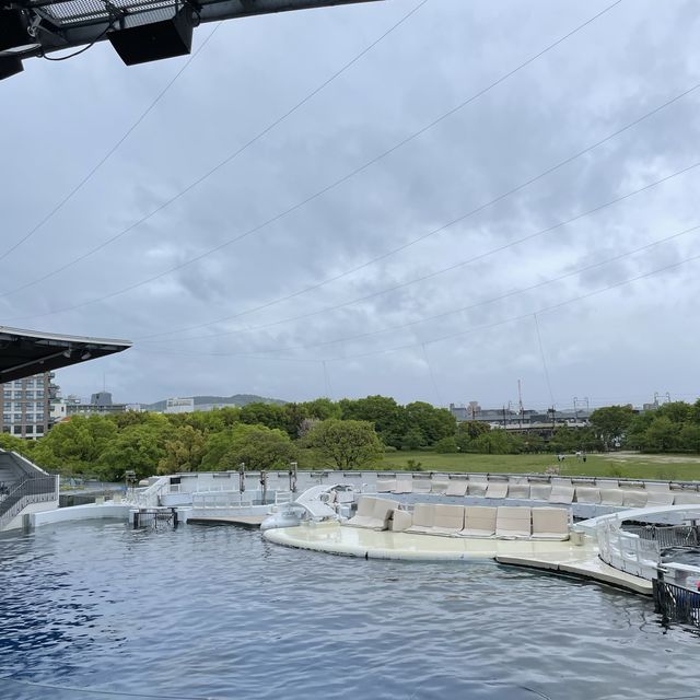 【京都府】大人も子供もたのしめる京都水族館へ！