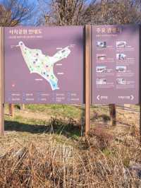 광주시내를 한눈에 볼 수 있는 "사직공원전망대 "
