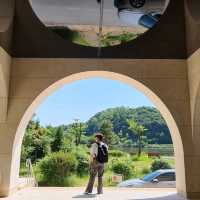 🏞 평일에만 여는 파주 신상 카페 '모쿠슈라'🏞