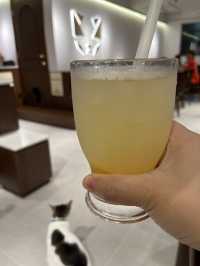 旺角新店地方好寬敞呀~
