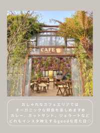 【川崎】インスタ映え抜群なお花屋さん🌼