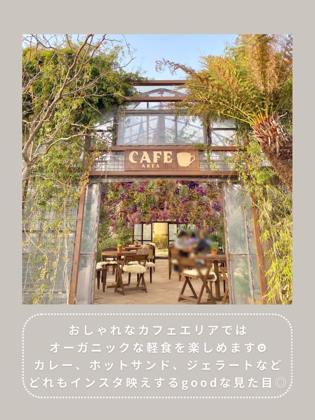 【川崎】インスタ映え抜群なお花屋さん🌼