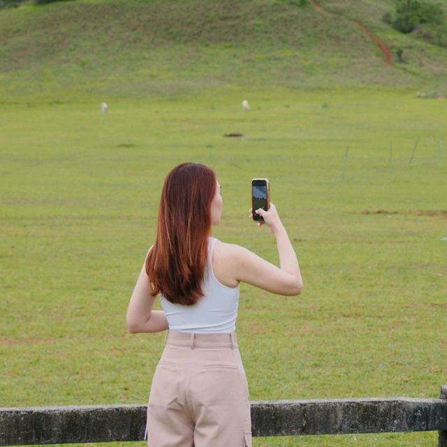 “ระนอง” ไม่ได้มีดีแค่ทะเล 🌾