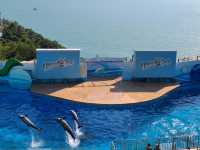 【重拾童年回憶~Ocean Park🎢】