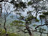Day adventure to gunung ledang