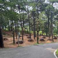 Forest Park
