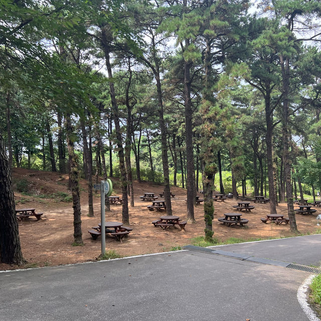 Forest Park