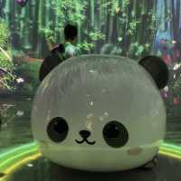 앞으로 에버랜드 푸바오 가족 5분만 볼 수 있다🐼