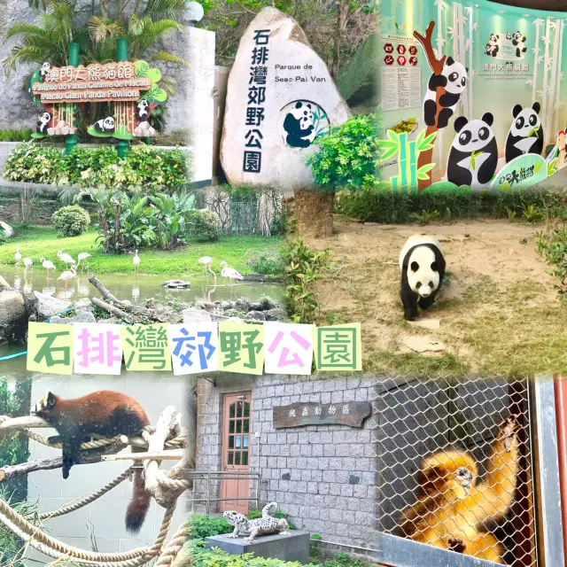 澳門石排灣郊野公園-親親大自然和可愛動物的好地方