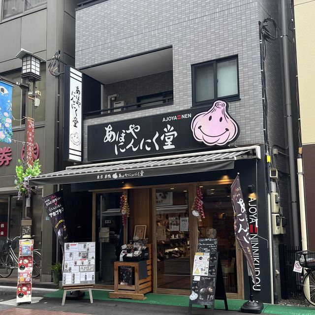 『巣鴨地蔵通り商店街 』IN巣鴨駅🚉