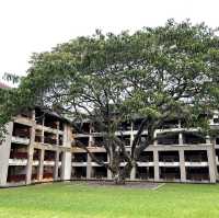 Le Meridien Chiang Rai Resort ที่พักสวย วิวริมน้ำ
