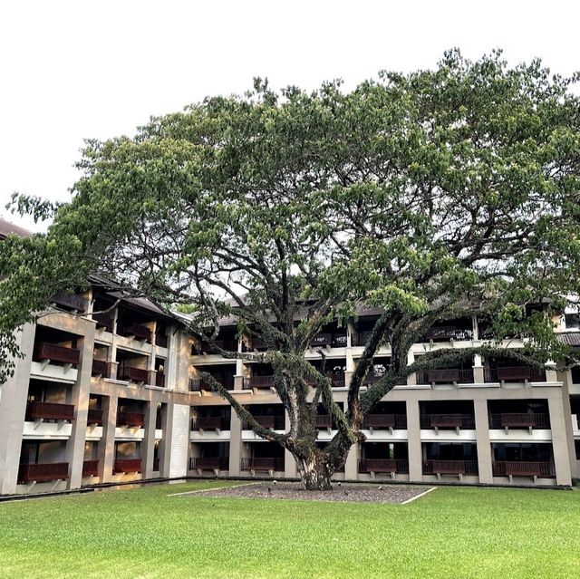 Le Meridien Chiang Rai Resort ที่พักสวย วิวริมน้ำ