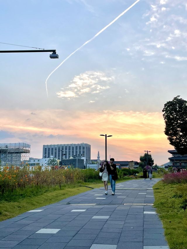 코스모스 밭으로 펼쳐진 인사동 공원, 열린송현 녹지광장🌼