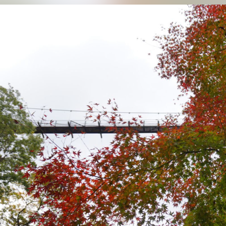 秋の穴場スポット〜吊り橋の紅葉〜