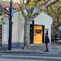 思南路體驗老上海