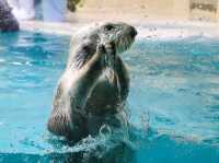 【三重県】飼育数日本一の水族館「鳥羽水族館」