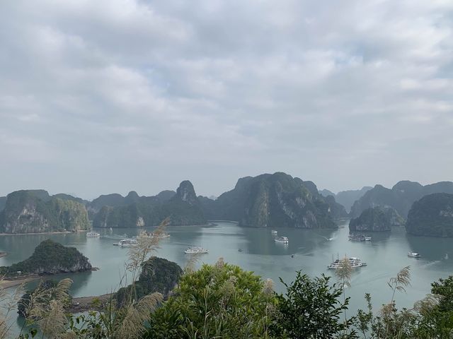 越南🇻🇳下龍灣 Emotion Cruise 