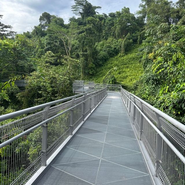 Mount Faber to Henderson South Ridges