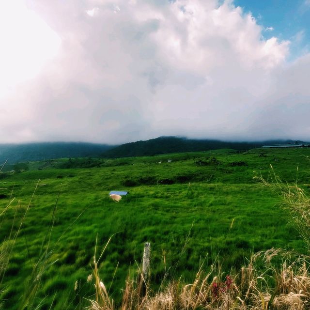 The One & Only Borneo New Zealand