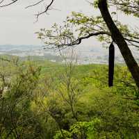 광교산 형제봉