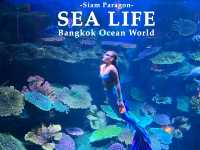 SEA LIFE Bangkok Ocean World