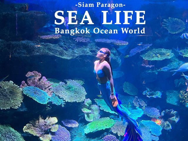 SEA LIFE Bangkok Ocean World
