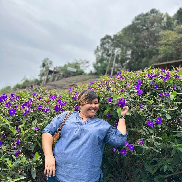 ขึ้นดอย ลุยคาเฟ่ หาหมอก แวะสันเขื่อน ณ เชียงใหม่