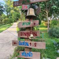 หลงสวน คาเฟ่ท์  ยกภูเขามาไว้ตรงนี้!!