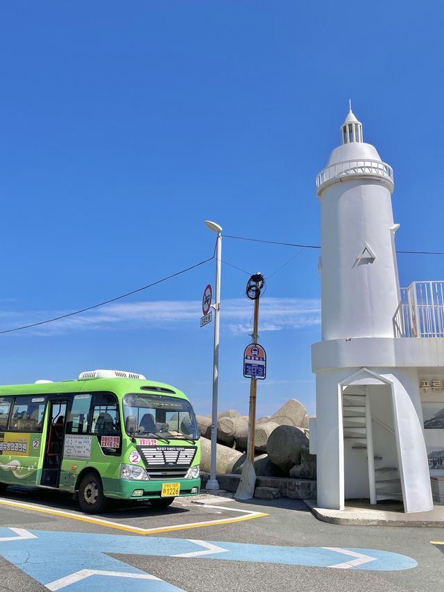 슬램덩크가 떠오르는 부산 청사포 해변열차🚃