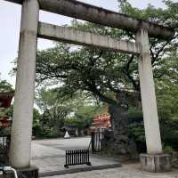 Amazing place to visit 