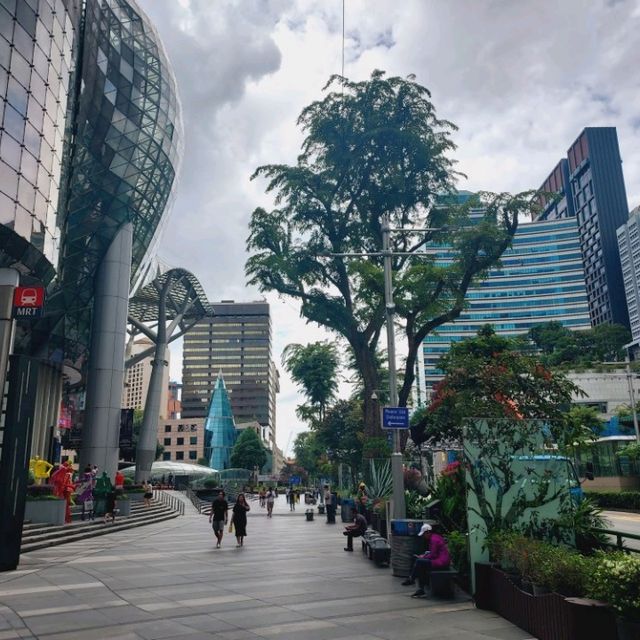 The shopping Mecca of Singapore, Orchard Road