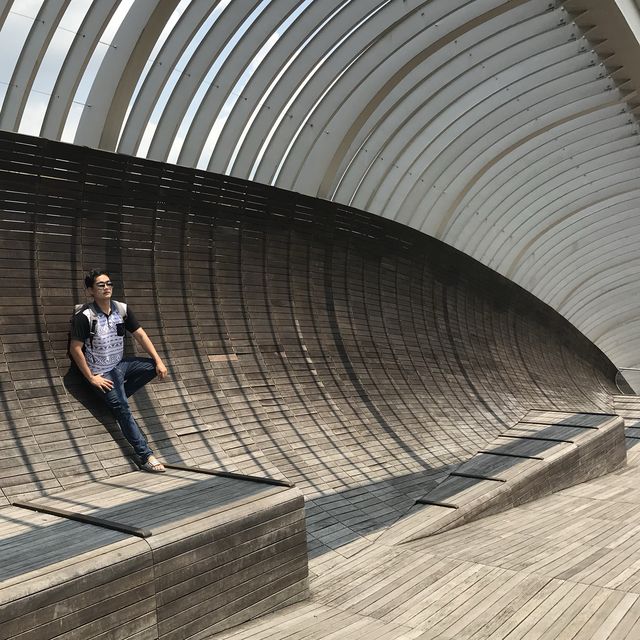 สะพานคลื่น henderson waves สิงคโปร์