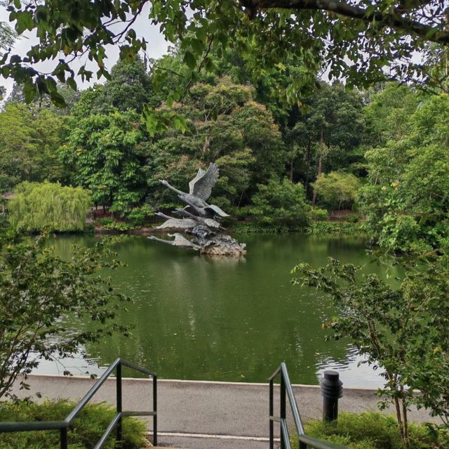 綠色天堂中的浪漫邂逅！🌿💍 新加坡植物園📸💑