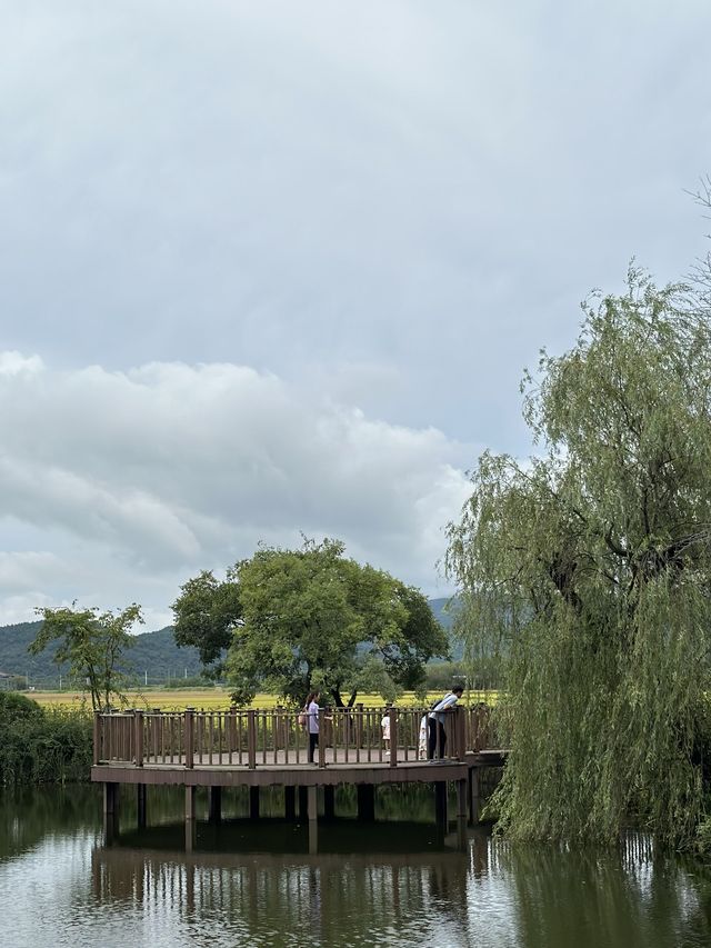 부모님과 함께 가기 좋은 경주, 경북천년숲정원🌱🌲