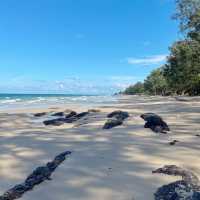 Beautiful beach at Desaru just 1.5hrs from JB