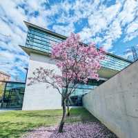 亞洲大學附屬現代美術館