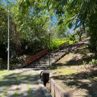 Healing with nature at Miri