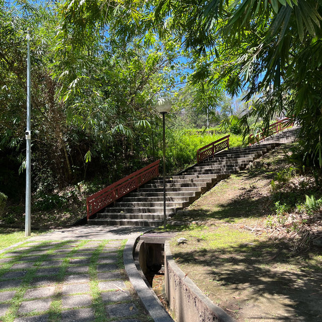 Healing with nature at Miri