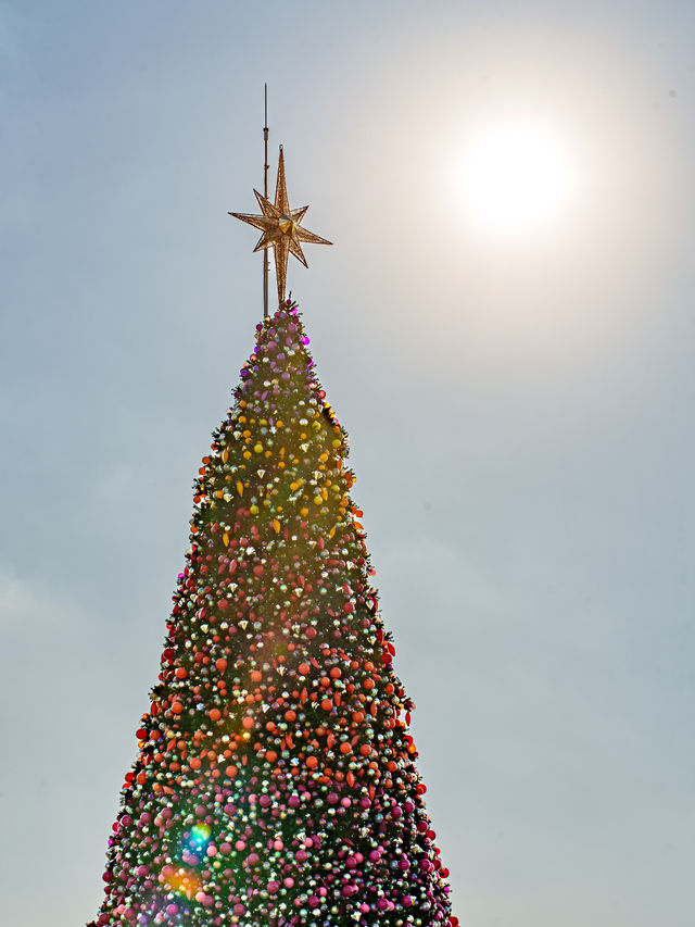 ❄️香港聖誕好去處｜巨型聖誕樹再次回歸🎄