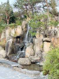 【大邱樹木園】秋の散歩にぴったりな所🍂