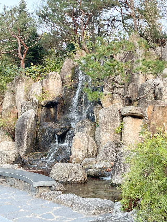 【大邱樹木園】秋の散歩にぴったりな所🍂