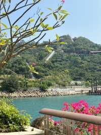 「香港富麗敦海洋公園酒店：聖誕節氣氛🎄適合渡假家庭」