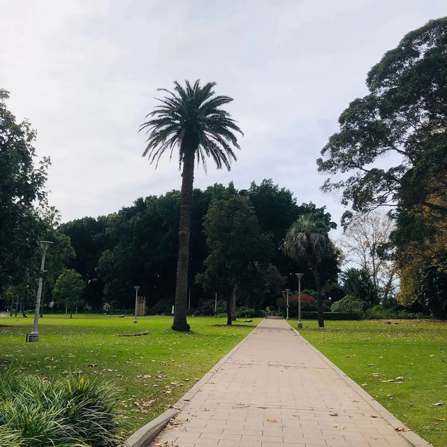 澳洲雪梨🇦🇺 海德公園Hyde Park Sydney🌳🍃